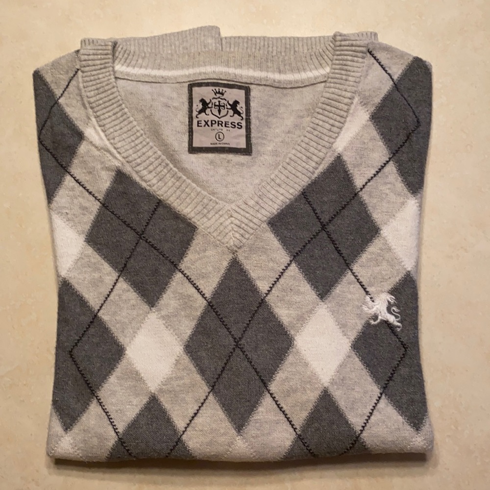 Express long sleeve v-neck sweater
